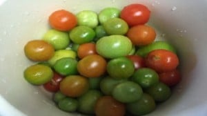 paradajz-mladi